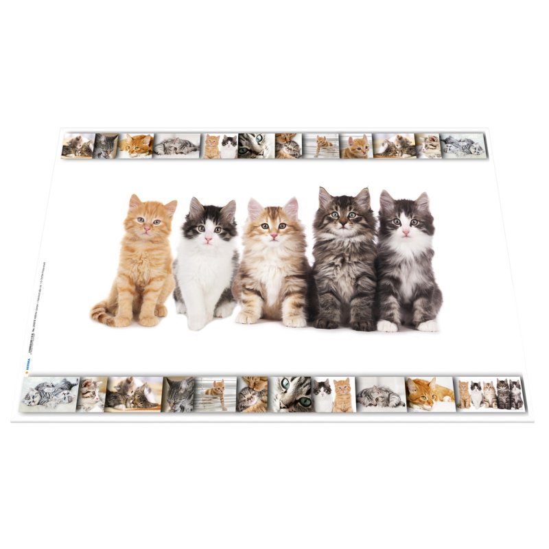 HERMA Sous-main "Chats", (L)550 x (H)350 mm