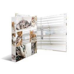 HERMA 19428 ring binder A4 Multicolour
