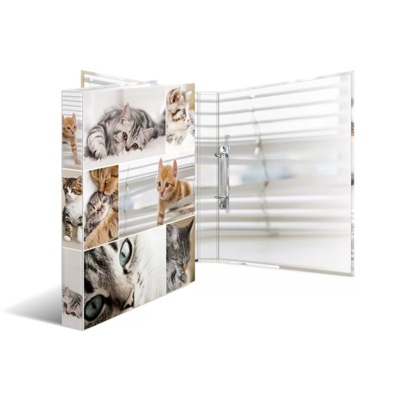 HERMA 19428 ring binder A4 Multicolour