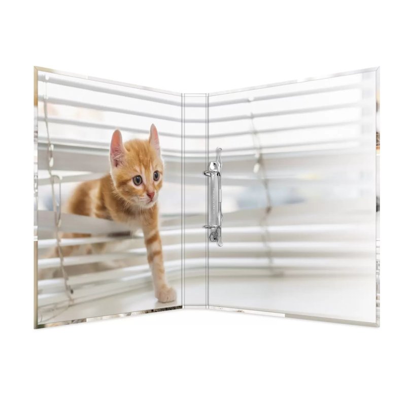 HERMA Classeur à anneaux "Animals" - chats, A4, mécanisme à