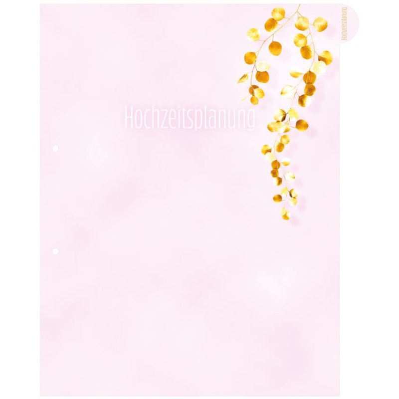 HERMA 15421 classeur à anneaux A4 Rose