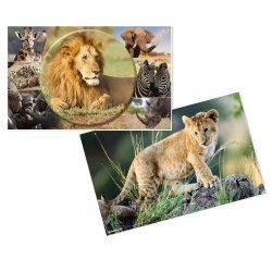 HERMA Schreibunterlage Afrika Tiere desk pad Cardboard Multicolour