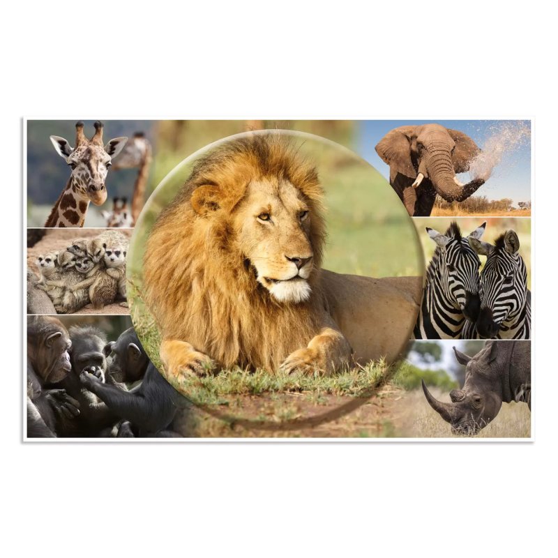 HERMA Sous-main "Animaux d'Afrique", (L)550 x (H)350 mm