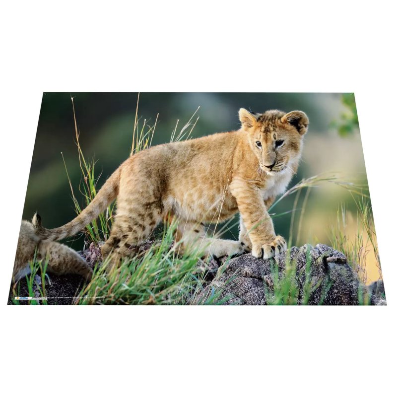 HERMA Schreibunterlage Afrika Tiere desk pad Cardboard Multicolour