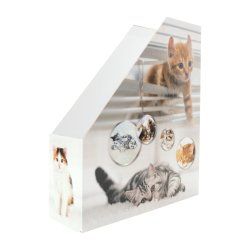 HERMA Stehsammler Katzen A4 Gelb porte-magazines