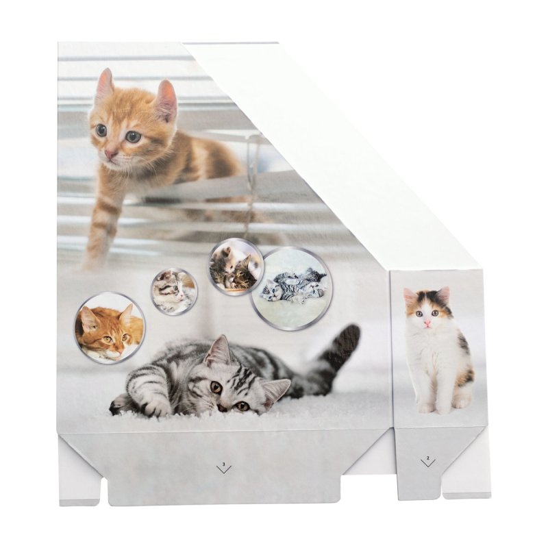 HERMA Porte-revue "Chats", A4, carton, (L)85 mm
