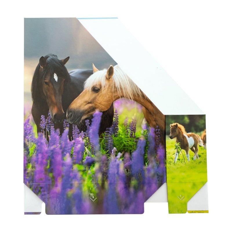 HERMA Porte-revue "Pré à chevaux", A4, carton, (L)85 mm
