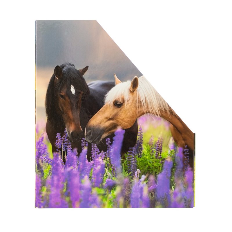 HERMA Porte-revue "Pré à chevaux", A4, carton, (L)85 mm