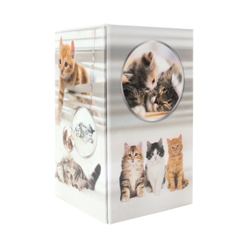 HERMA Stifteköcher Katzen porte crayons et stylos