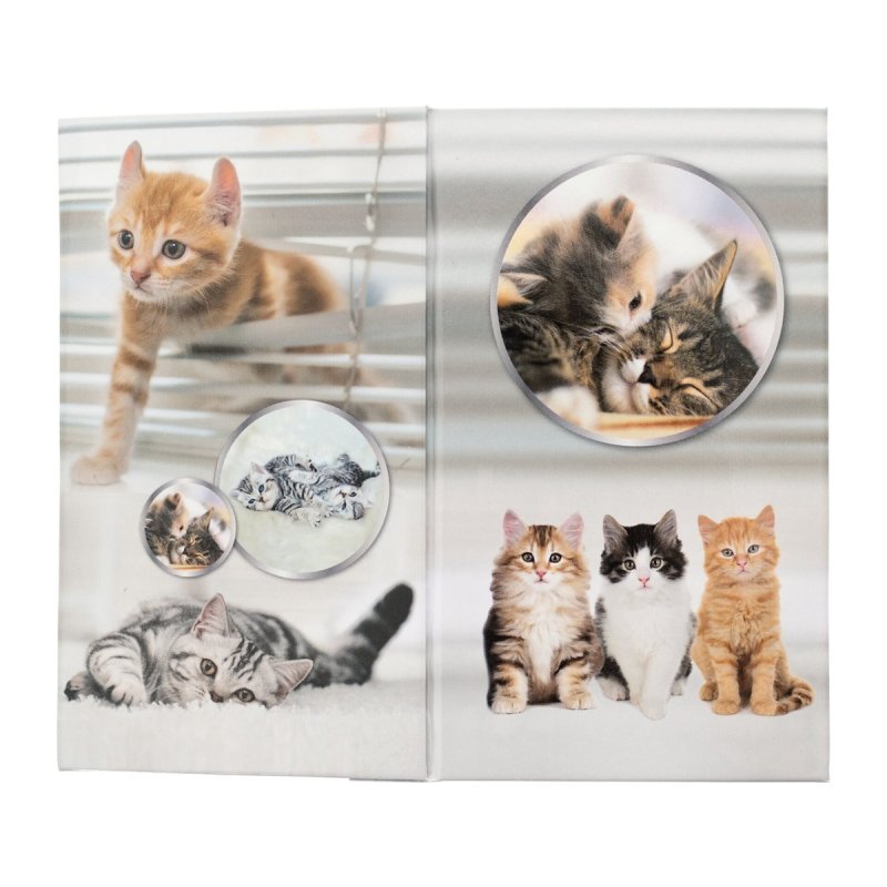 HERMA Stifteköcher Katzen porte crayons et stylos