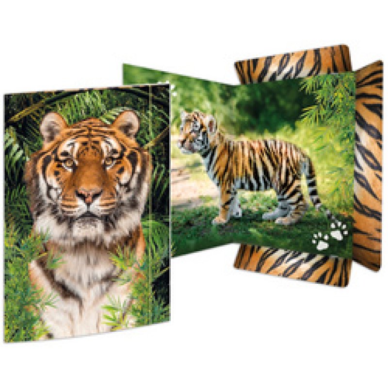 RNK Verlag Carton à dessin "Tigre", A3