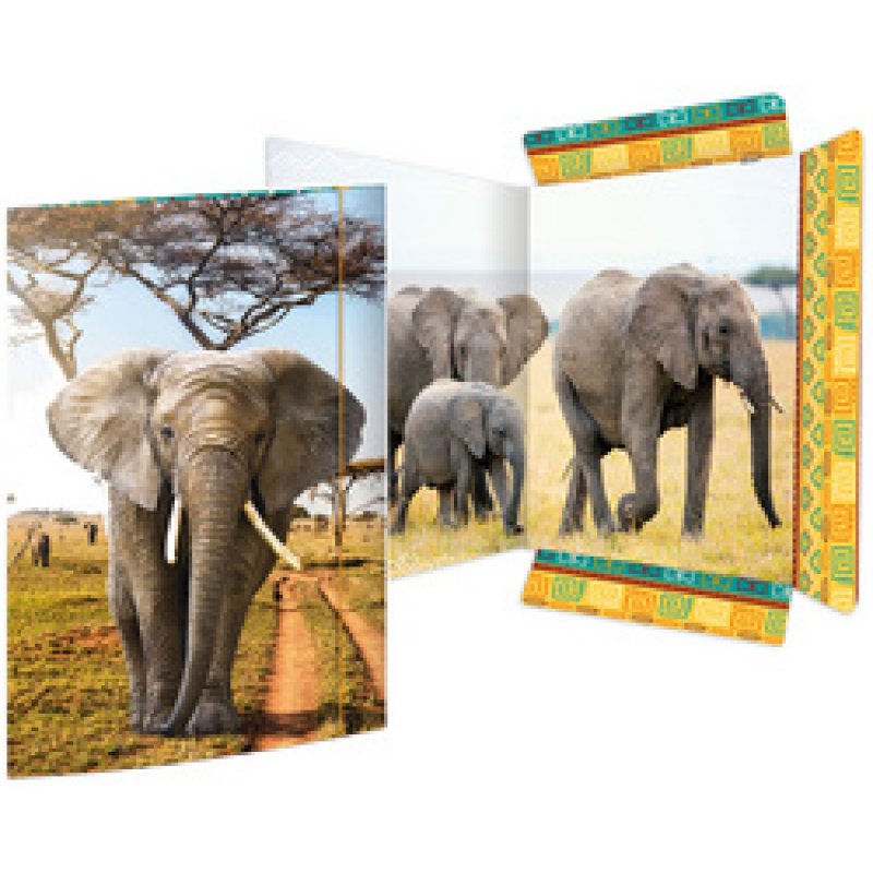 RNK Verlag Carton à dessin "Tigre", A3