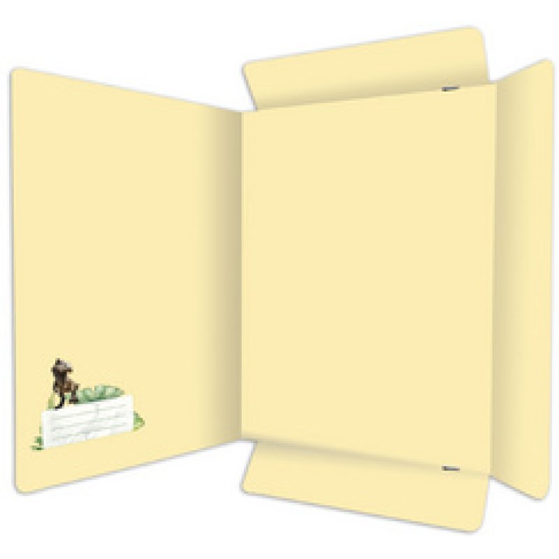 RNK Verlag Postmappe "Tyrannosaurus", DIN A4, Karton