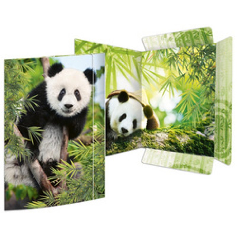 RNK Verlag Carton à dessin "Écureuil", A3