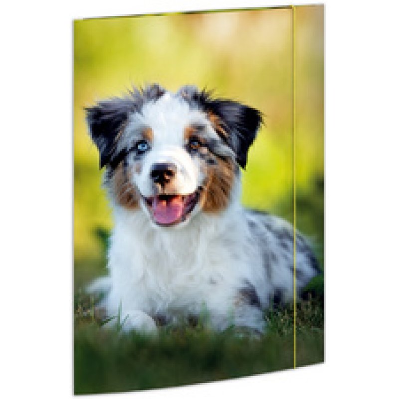 RNK Verlag Carton à dessin "Chaton", A3