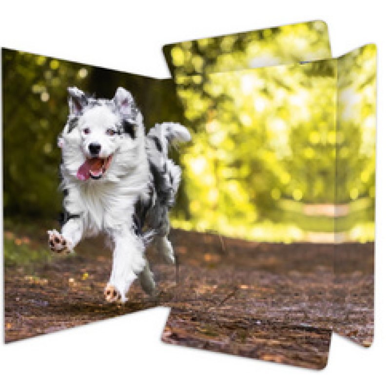 RNK Verlag Carton à dessin "Chaton", A3