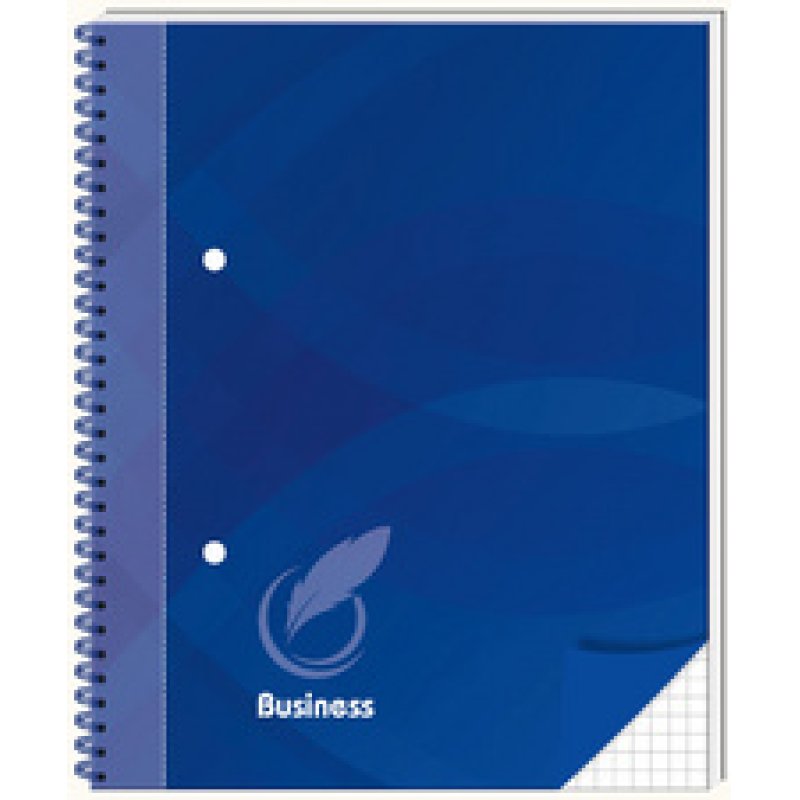 RNK Verlag Cahier spirale "Business blau", A5, quadrillé