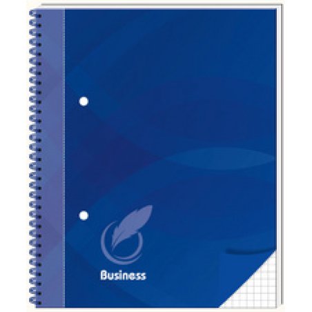 RNK Verlag Cahier spirale "Business blau", A5, quadrillé