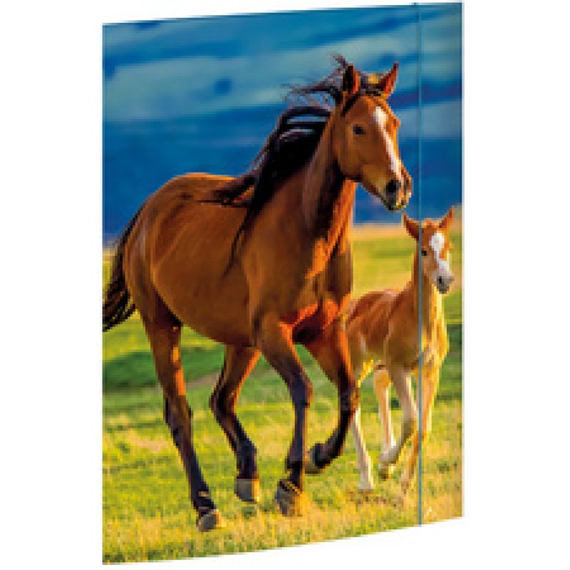 RNK Verlag Carton à dessin "Free Horses", A3