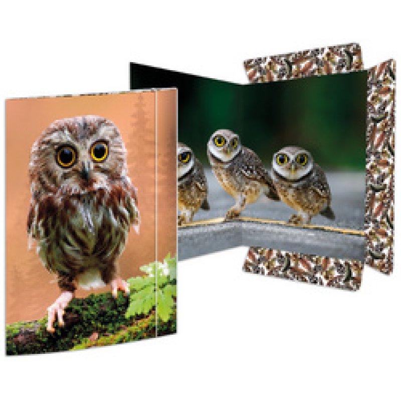 RNK Verlag Carton à dessin "Dauphin", carton, A3