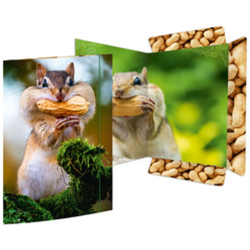 RNK Verlag Carton à dessin "Dauphin", carton, A3