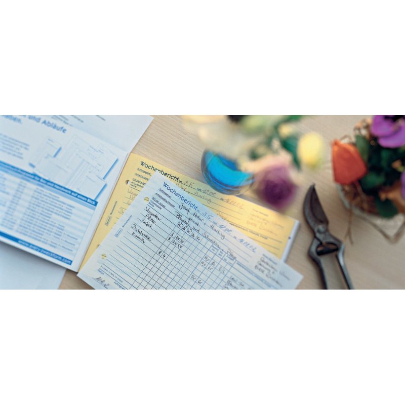 Avery 1310 accounting form/book A5 100 pages