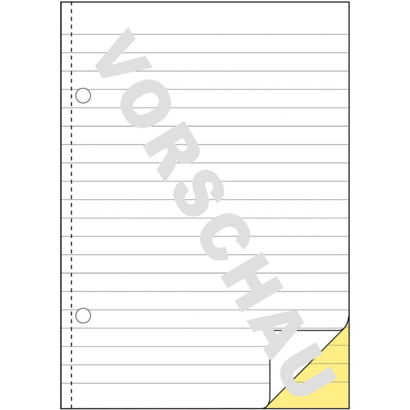 AVERY Zweckform Formularbuch "Durchschreibebuch", A5