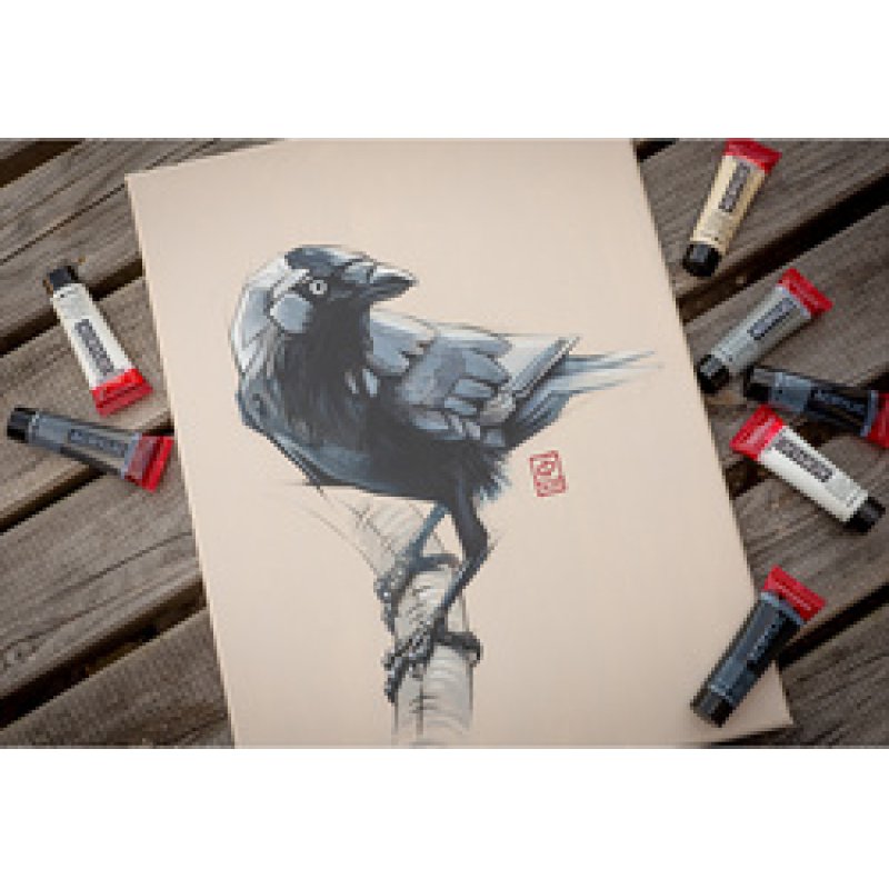 ROYAL TALENS Peinture acrylique AMSTERDAM, set de gris