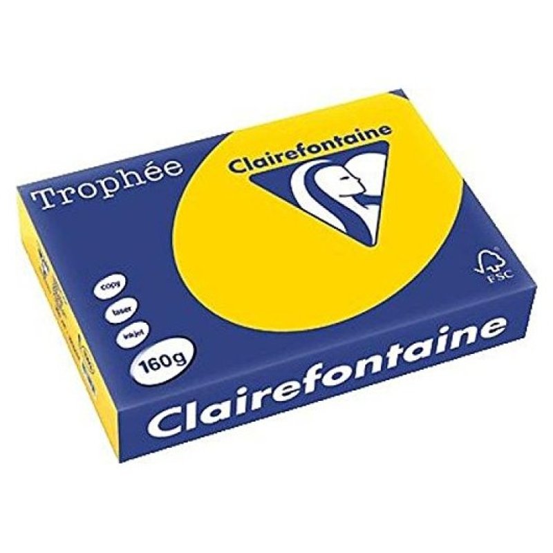 Clairefontaine 1206C papier jet d'encre A4 (210x297 mm) Mat 250 feuilles Jaune
