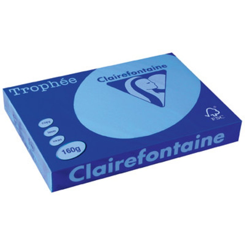 Pollen by Clairefontaine Carte 82 x 128 mm, vert bourgeon