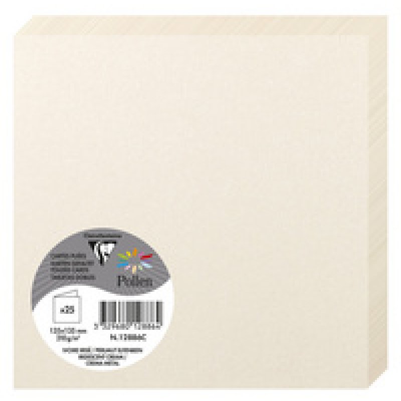 Pollen by Clairefontaine Carte double 135 mm, gris koala