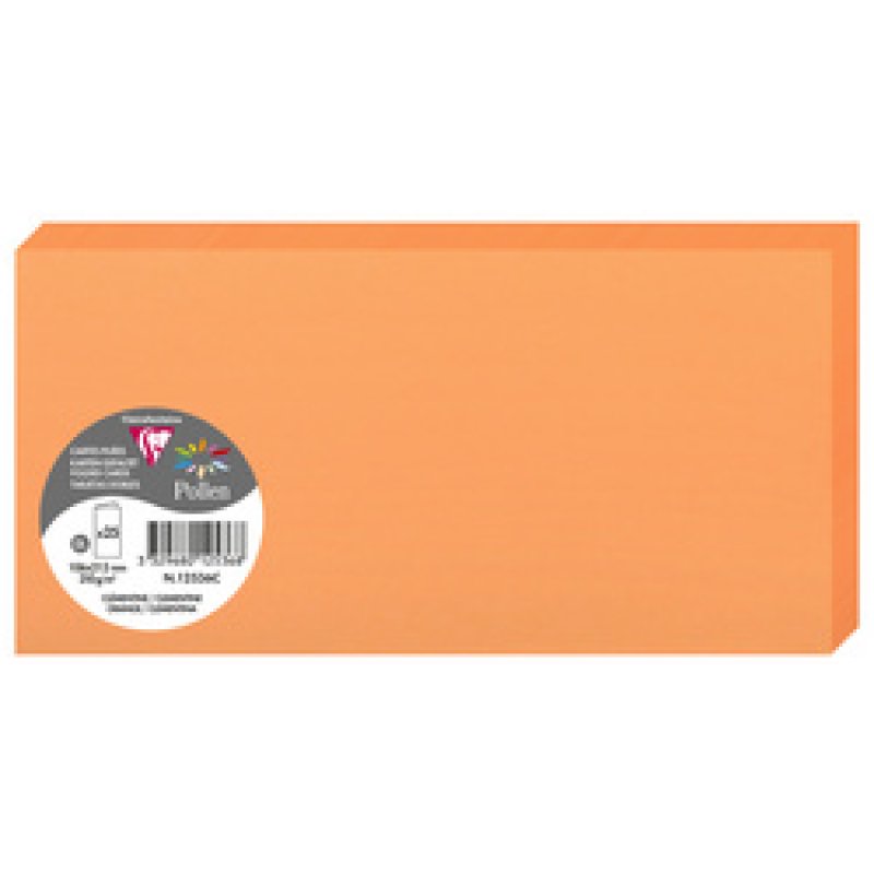 Pollen by Clairefontaine Carte double DL, gris koala