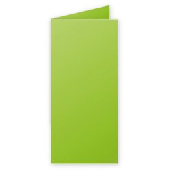 Pollen by Clairefontaine Carte double DL, vert menthe