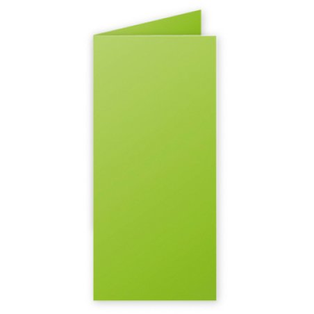 Pollen by Clairefontaine Carte double DL, vert menthe