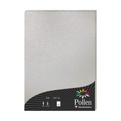Clairefontaine 24301C envelope A4 (210 x 297 mm) Silver 50 pc(s)