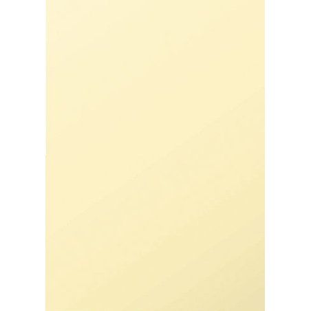 Clairefontaine 4296C carton 50 feuilles 120 g/m²