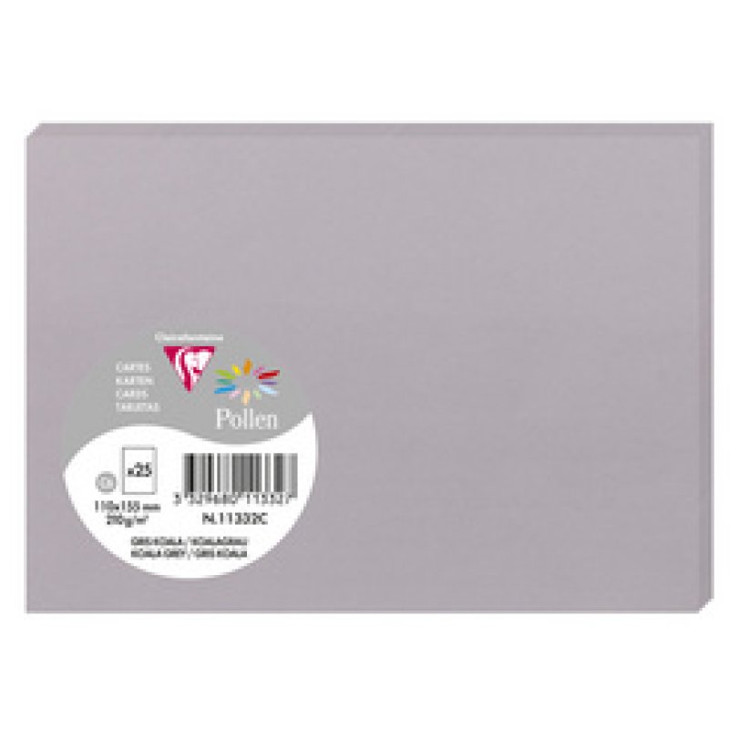 Pollen by Clairefontaine Carte C6, chamois