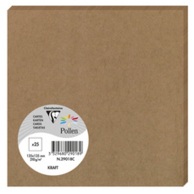 Pollen by Clairefontaine Carte double kraft, 160 x 160 mm