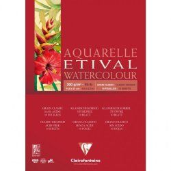 Clairefontaine 96373C art paper 10 sheets