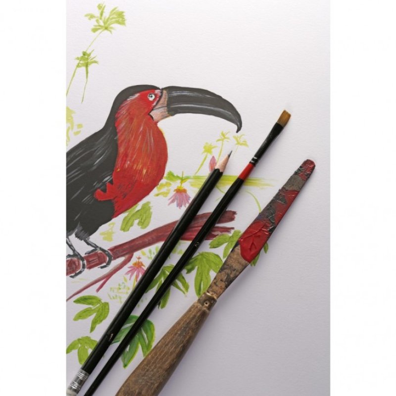 Clairefontaine 96537C art paper 40 sheets