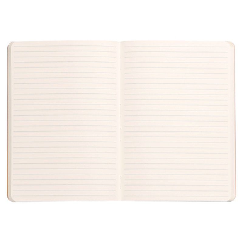 RHODIA Carnet souple RHODIARAMA, A5, ligné, noir