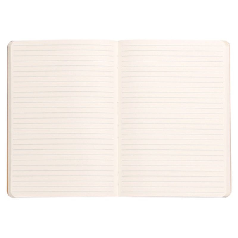 Rhodia 117410C bloc-notes A5 80 feuilles Violet