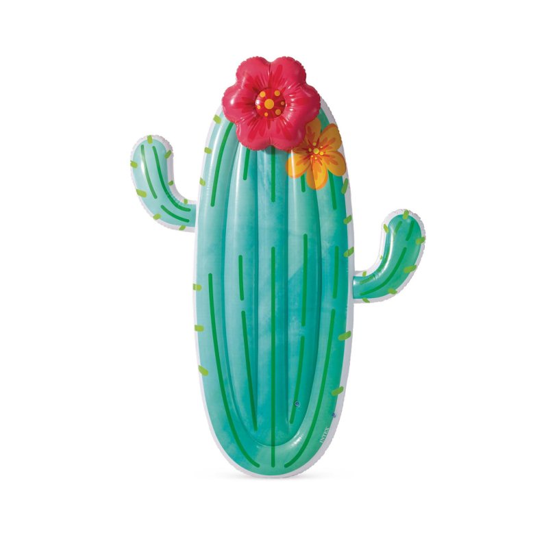 Intex - Cactus Float - (58793)