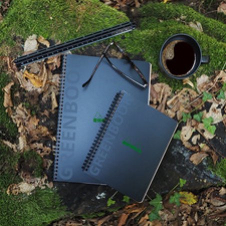 RHODIA Cahier à spirale GREENBOOK, A5 , ligné, noir