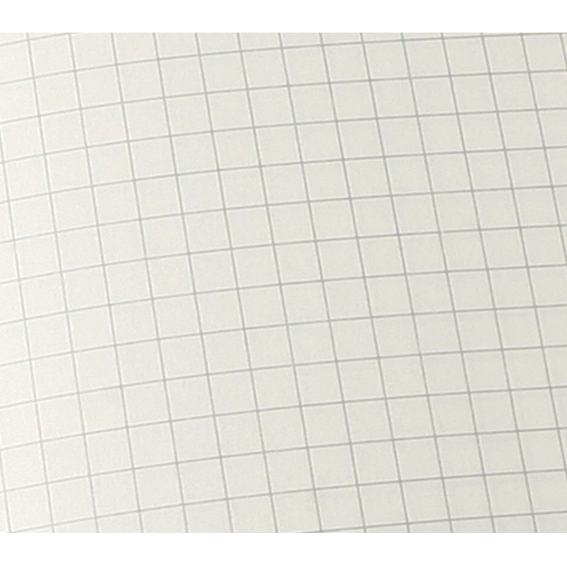 MOLESKINE Carnet souple, L/A5, quadrillé, noir