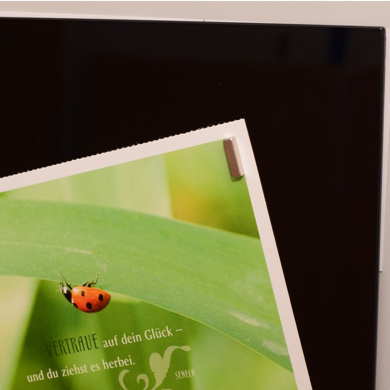 MAUL 6169096 Accessoire pour tableau Aimant de tableau blanc