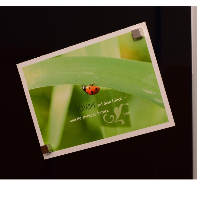 MAUL 6169296 board accessory Board magnet