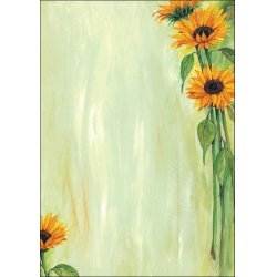 sigel Papier à motif, A4, 90 g/m2, motif "Sunflower"