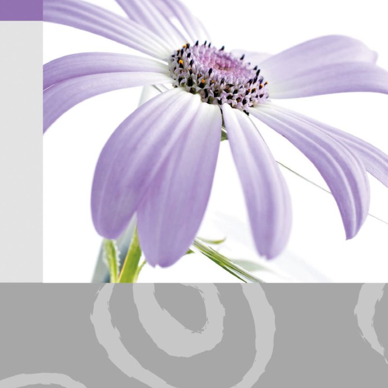 Sigel DC174 greeting/sympathy card