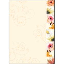 Sigel DP788 carte de vœux et de condoléances